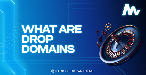 What are drop domains and where to buy them